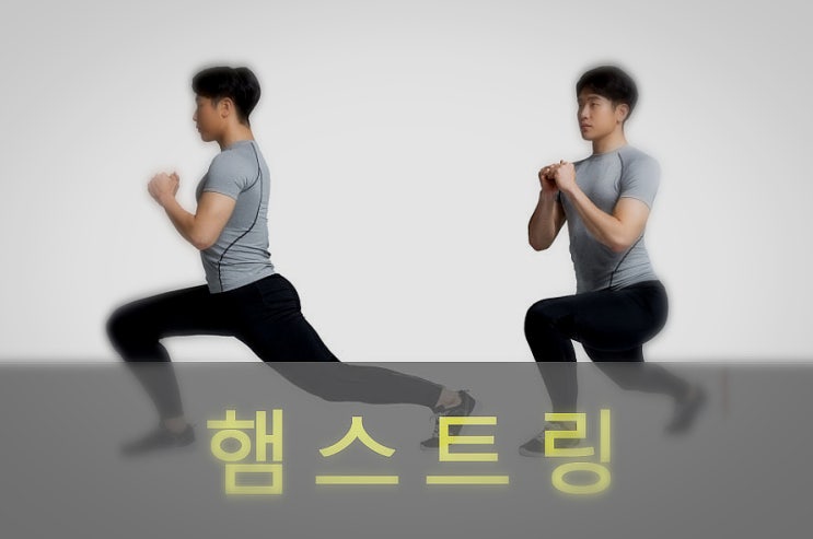  허벅지 뒤쪽 햄스트링 파열, 통증, 운동, 스트레칭