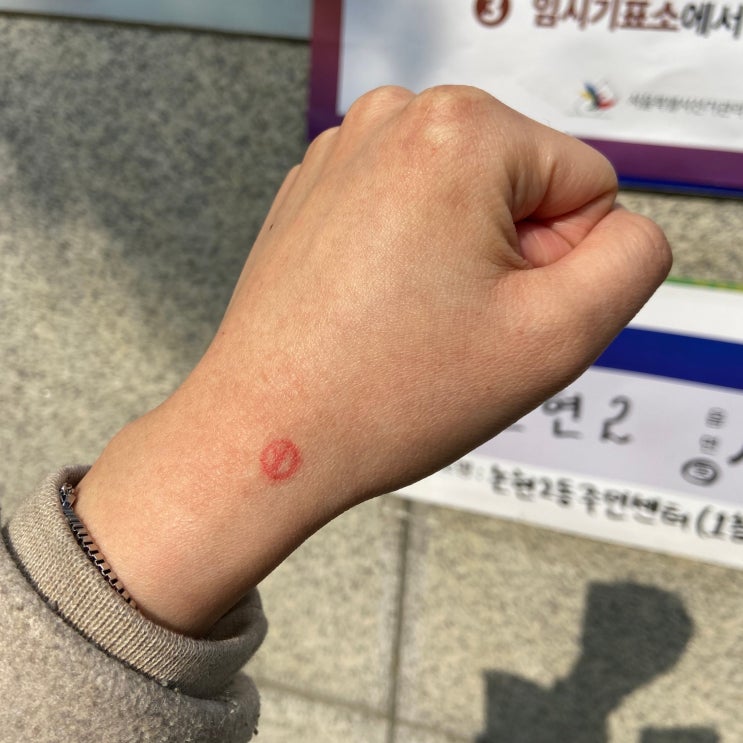  제 20대 대통령선거 사전투표 후기 : 사전투표방법, 사전투표소 찾기