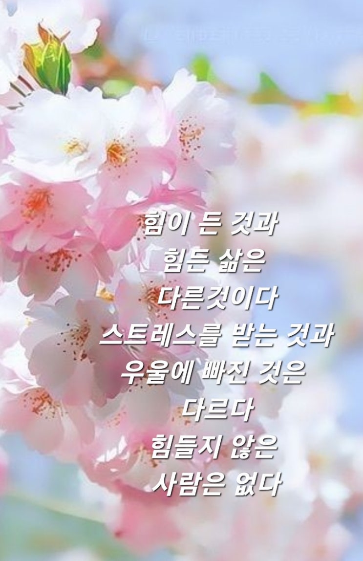  미라클 모닝 3Day  '힘들지 않으세요?'