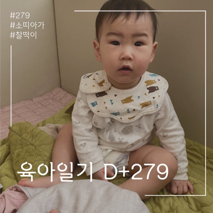  병풍하우스 육아템! 육아일기 ㅎ D+279