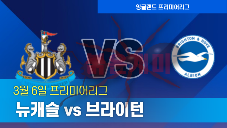 3월6일 뉴캐슬 브라이턴 프리미어리그 축구 분석 스포픽 붉은개미