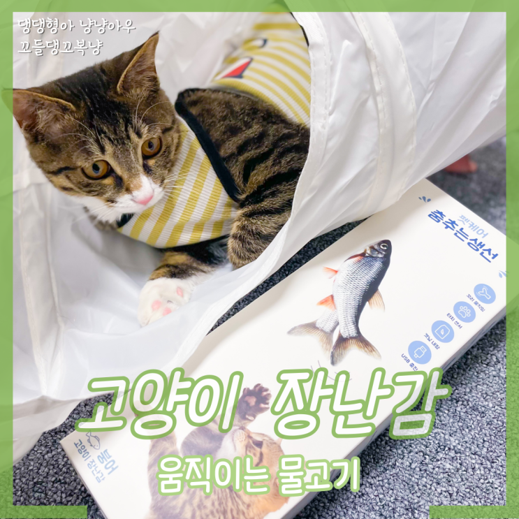  움직이는 물고기 고양이 자동 장난감 펫케어 춤추는생선 꼬복이반응