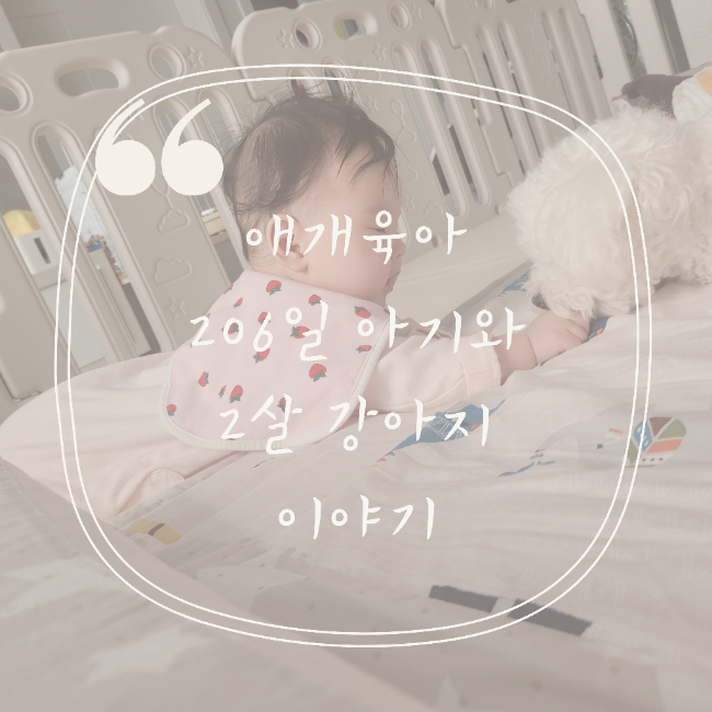  애개육아 206일 아기와 2살 강아지 이제  친해지려나 봐요