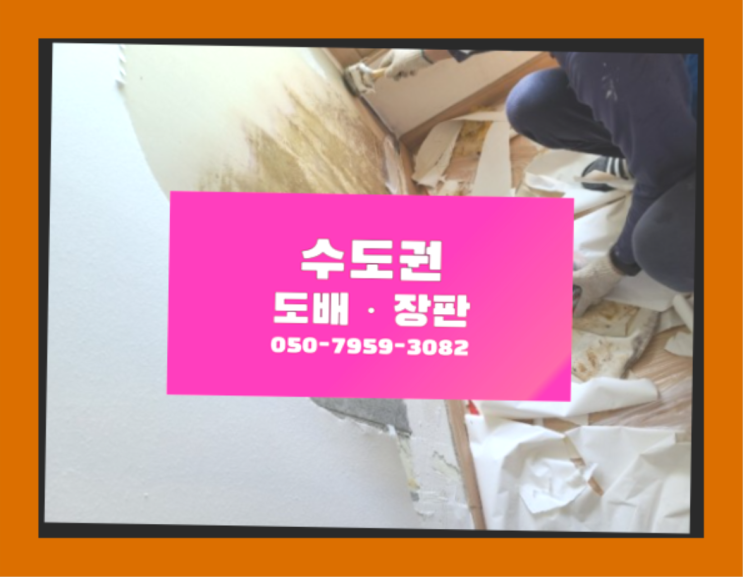  궁동 안방바닥재 ? 저렴한 도배·장판 시공문의 레알
