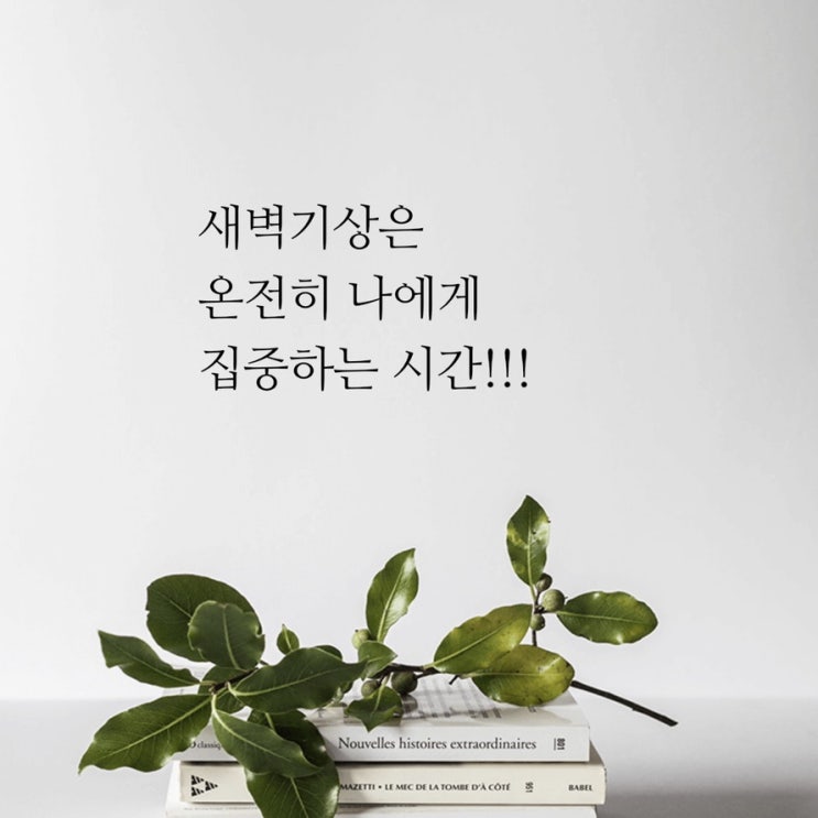 3월 514챌린지 5일차: 새벽 기상은 온전히 나에게 집중하는 시간!!!