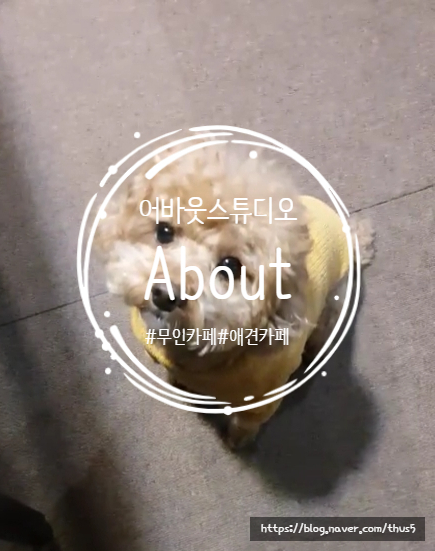  [공간대여/애견스튜디오/무인카페/친구들과 편하게 놀기 좋은 경대 북문 아지트] 어바웃스튜디오