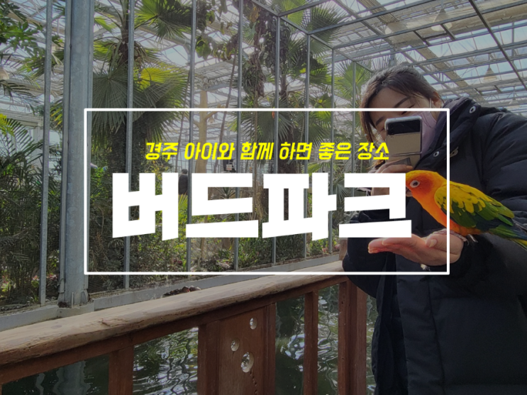  4살 아기와 함께한 경주 버드파크 할인부터 체험까지