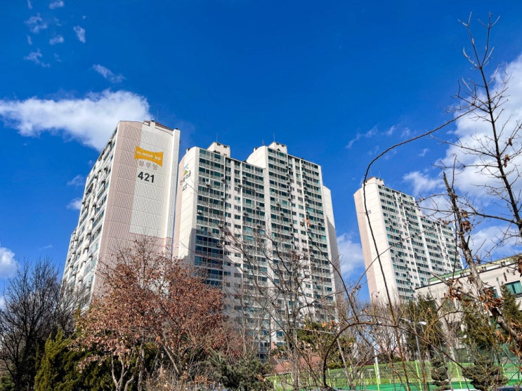화창한 날 대통령 선거 <b>사전 투표</b>
