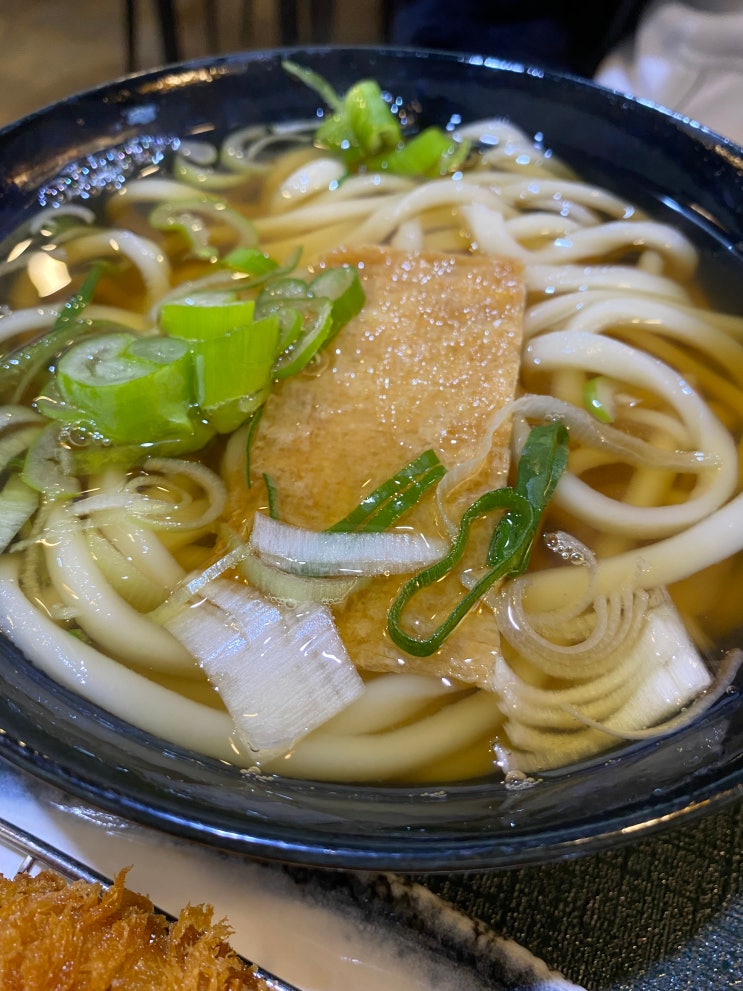  세종 우동의 진수! 따뜻한 우동과 시원한 냉모밀 맛집