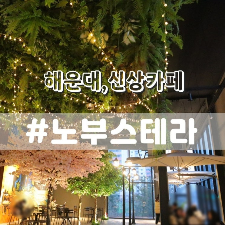  반여동카페 노부스테라/ 해운대카페 해운대데이트 추천
