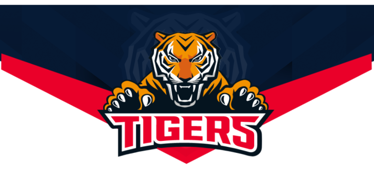 2022 국내 프로야구 KBO 팀별 전력 분석 및 전망 : 기아KIA 타이거즈 2022 국내 프로야구 KBO 팀별 전력 분석 및 전망 : 기아KIA 타이거즈