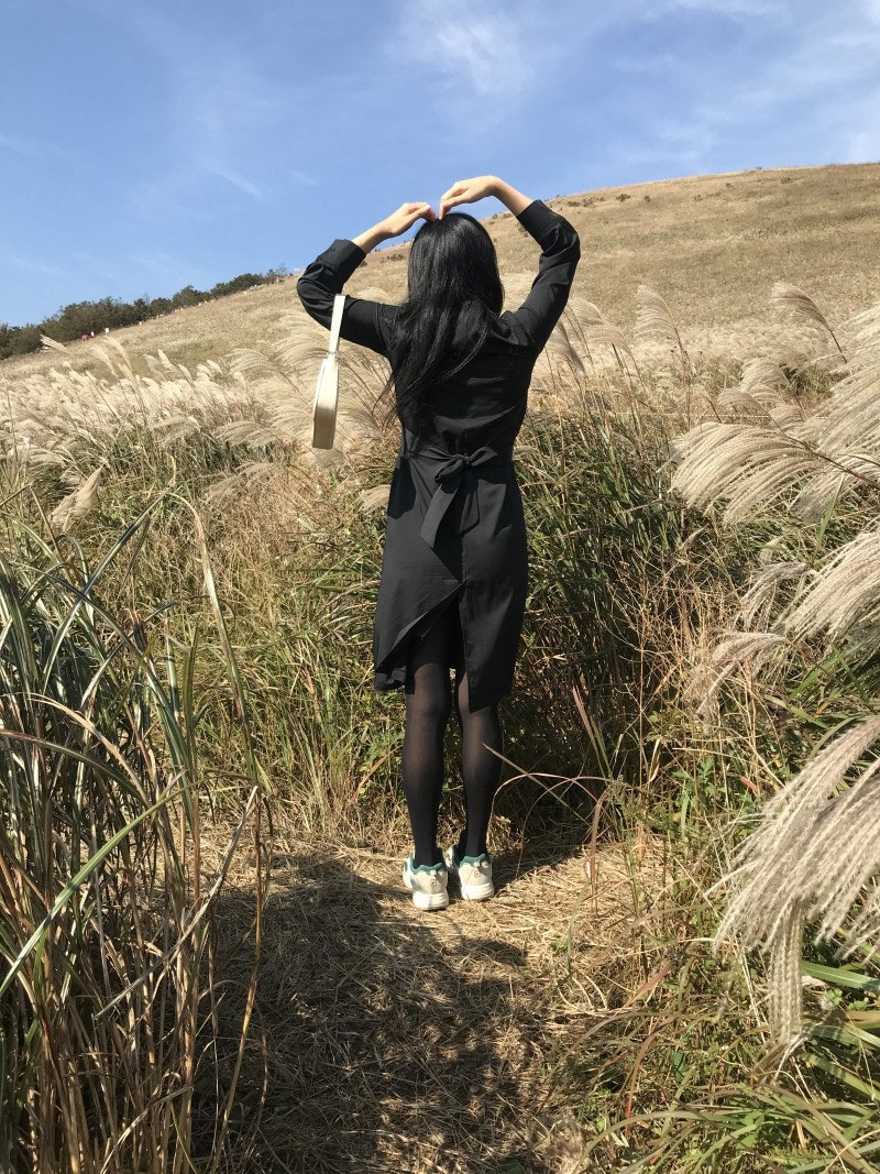 最高の品質 ソウル２泊３日弾丸ツアー ｔｒａｖｅｌ ｓｔｙｌｅ ｐａｓｓｐｏｒｔ 成美堂出版編集部 Www Health Worx Co Za