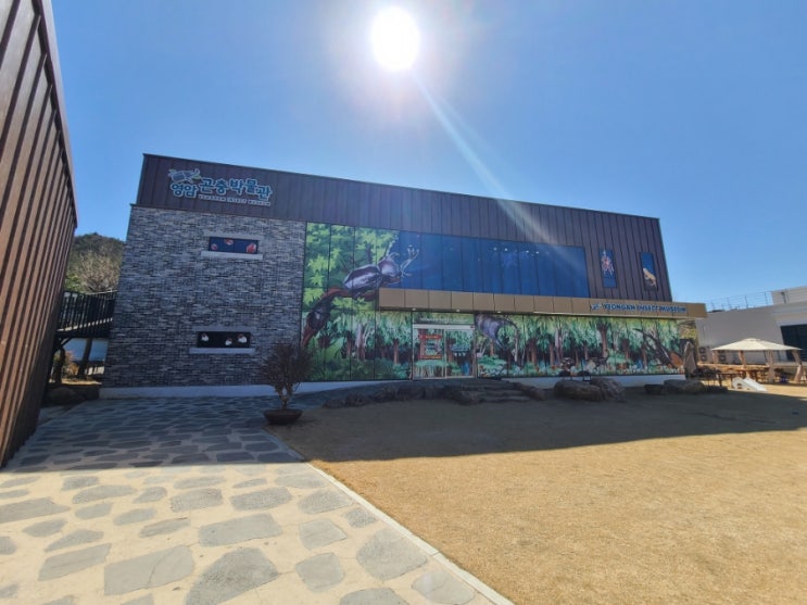  전남 영암군 곤충박물관 방문후기