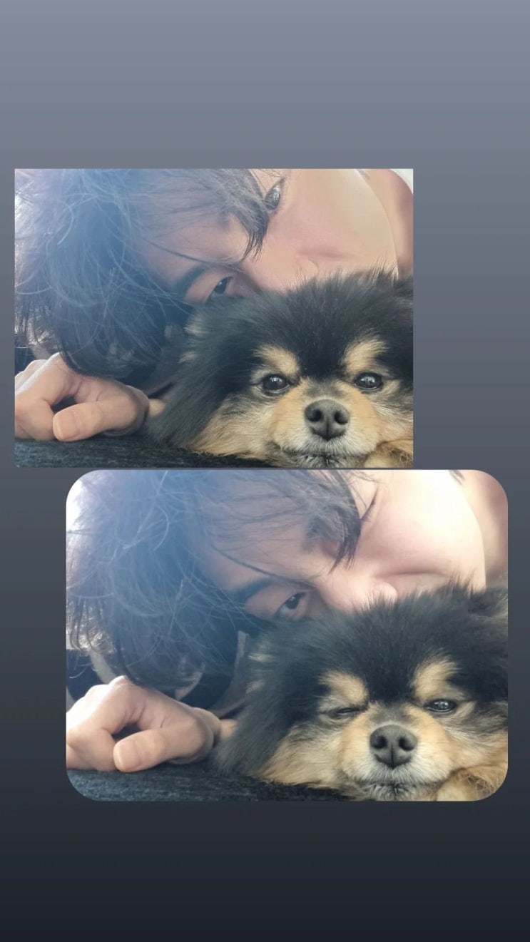  뷔 인스스 업데이트 연탄이