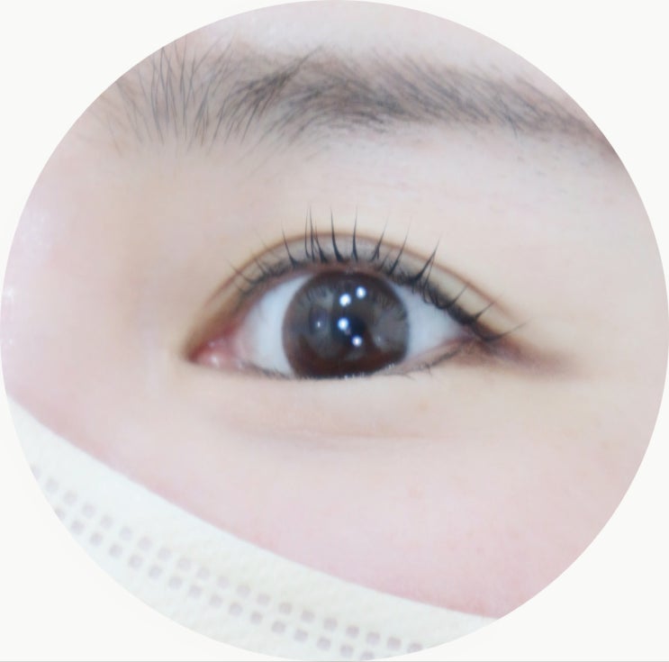 덕천 속눈썹펌 짱짱한 뷰러펌 엘라아이래쉬 후기 덕천 속눈썹펌 짱짱한 뷰러펌 엘라아이래쉬 후기