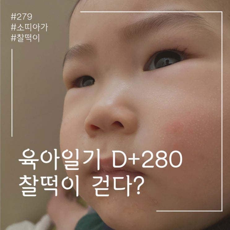  걸음마 첫걸음 육아일기 D+280