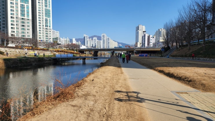  숨은 중국집 ] 마~ 이게 간짜장이다. 연산동 홈플러스 근처 맛집