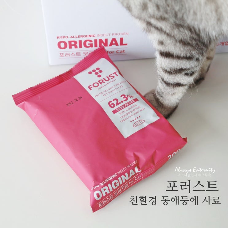  고양이 알러지? 증상 완화, 친환경 동애등에 사료, 포러스트 어때?