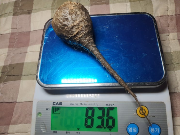 어째서 블랙마카락 허까? 어째서 블랙마카락 허까?