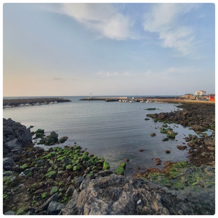  애월읍 하귀리 동귀방파제 주변에 있는 seaside 씨사이드 제주 애월카페