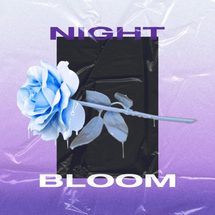 김페리 - 밤에 피는 꽃 [노래가사, 듣기, Audio]