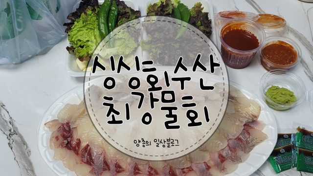  내돈내산) 서비스가 좋은 싱싱회수산 최강 물회 본점