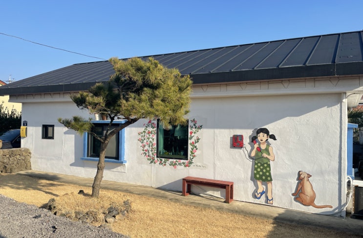 제주도 산책하기 좋은 신천리 벽화마을