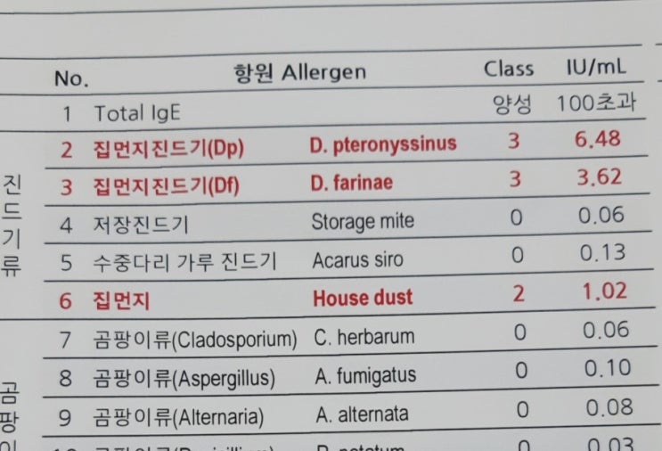  성인 알레르기 검사 후기 /내돈내산