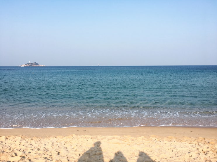  속초여행 1박2일 - 속초해수욕장, 청초수물회, 속초중앙시장, 속초문어국밥, 씨크루즈호텔속초