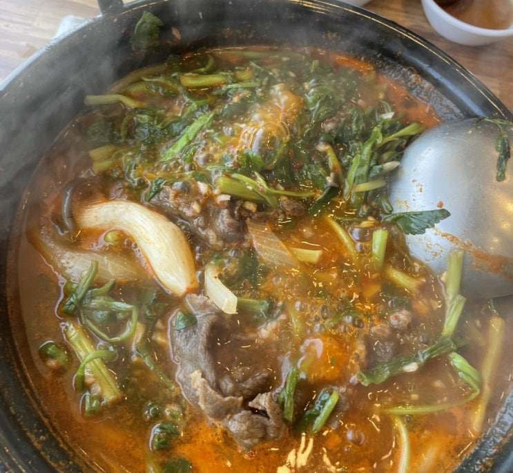 강정보맛집 등촌 샤브칼국수 칼국수의 새로운 발견 내돈내산후기