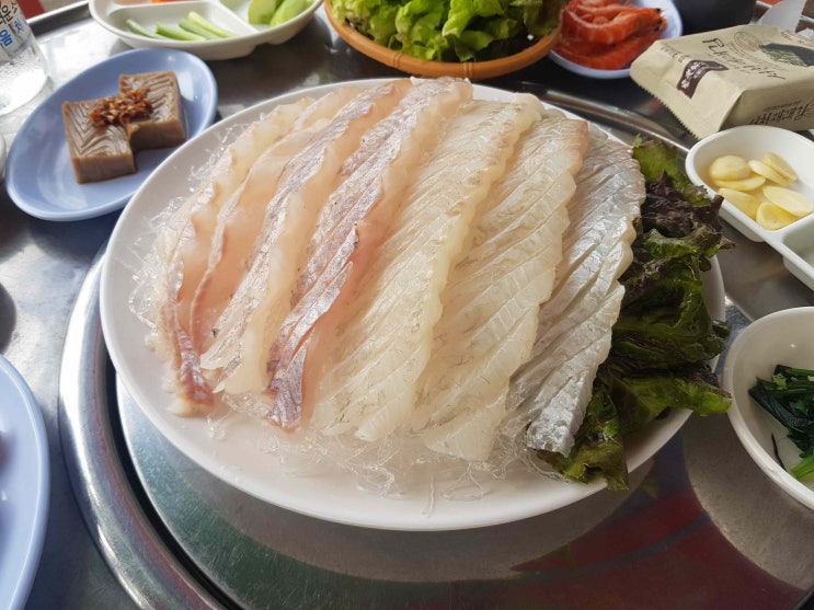  속초해수욕장 회밀리가 떳다 광어우럭 & 오징어순대