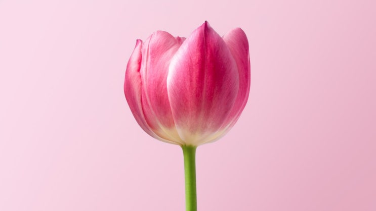  Q&A a Day 30 : Did anything happen today that you want to forget?