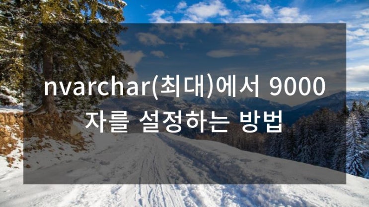  nvarchar(최대)에서 9000자를 설정하는 방법