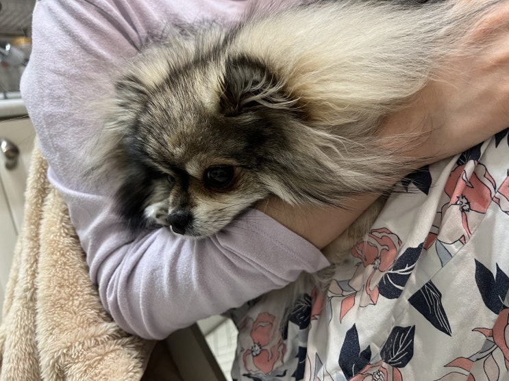  오늘은 한컷