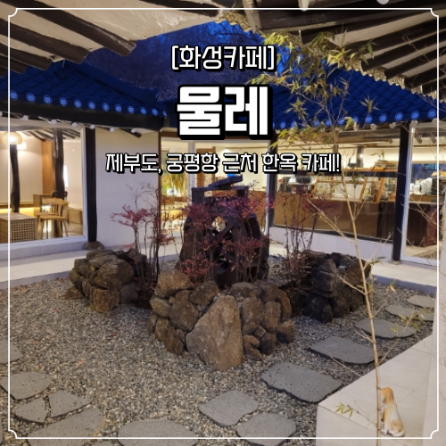  궁평항 제부도 카페 물레