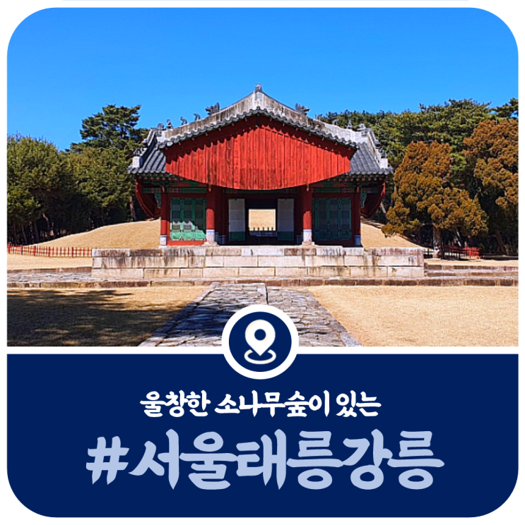  서울 태릉, 울창한 소나무숲이 인상적인 서울 태릉 강릉 방문기
