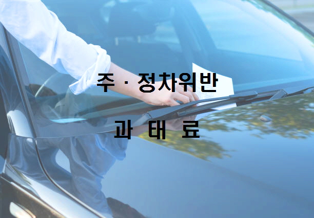  주·정차 위반 안내 / 주정차 위반 과태료