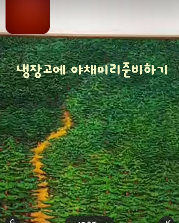  음식 재료 준비해서 냉장고 저장하기