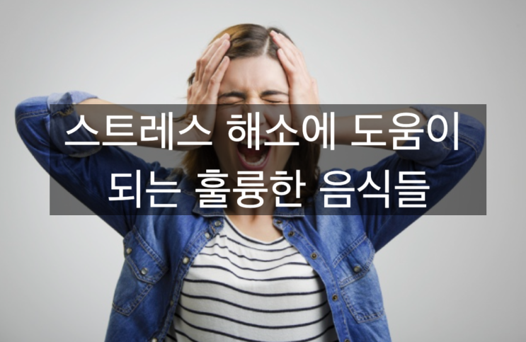  스트레스 해소에 도움이 되는 훌륭한 음식들