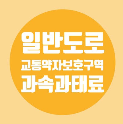  교통약자보호구역/어린이보호구역/노인보호구역/장애인구역주정차과태료/과속과태료/벌점