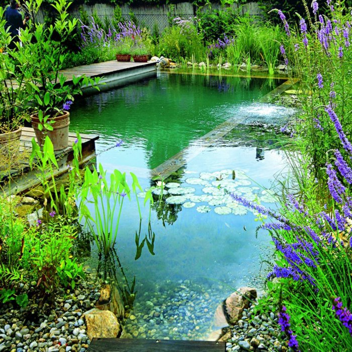 네츄럴 연못 만들기 자연 수영장 물고기 연못 속 집 수변 주택
