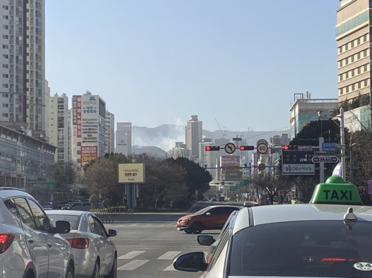  산불아…제발 꺼져줘..