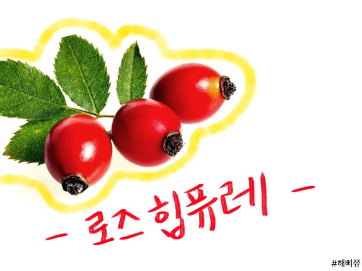  로즈 힙퓨레 , 갱년기 여성들에게 좋다? (뼈건강, 다이어트)