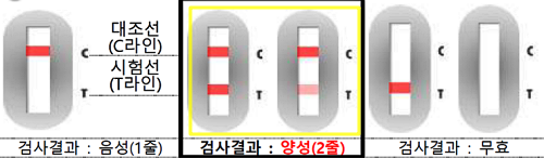  자가 검사 키트 양성