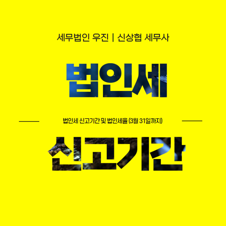  부산세무사, 법인세 신고기간 및 법인세율