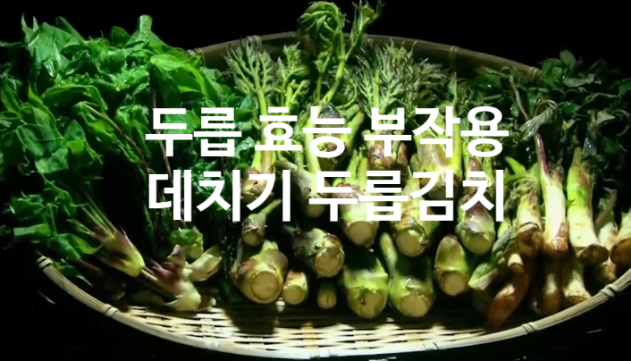  두릅 영양성분 효능(ft. 데치기 김치 만들기) 초고추장에 찍어 먹지 마세요~