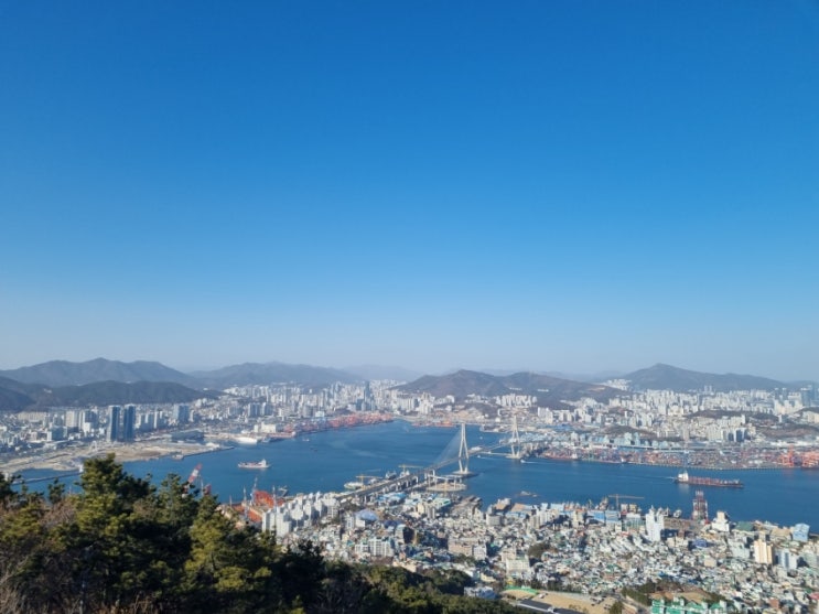  [부산 영도 봉래산] 바다로 둘러쌓인 봉래산 조지기, 목장원 코스