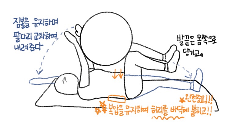  11D. PT 걷기운동 발통증은 언제까지? 짐볼 버드독 in 성산동 더짐 헬스장