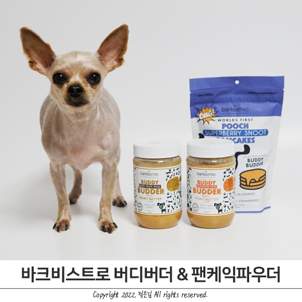 버디버더 강아지땅콩버터와 팬케이크로 방이 브런치 만들어주기 버디버더 강아지땅콩버터와 팬케이크로 방이 브런치 만들어주기