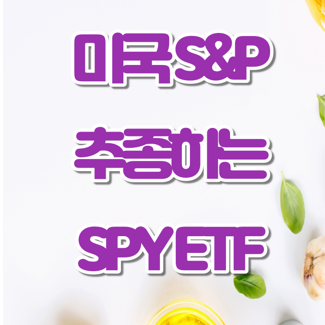 미국 S&P 500 지수 추종 하는 SPY ETF 미국 S&P 500 지수 추종 하는 SPY ETF